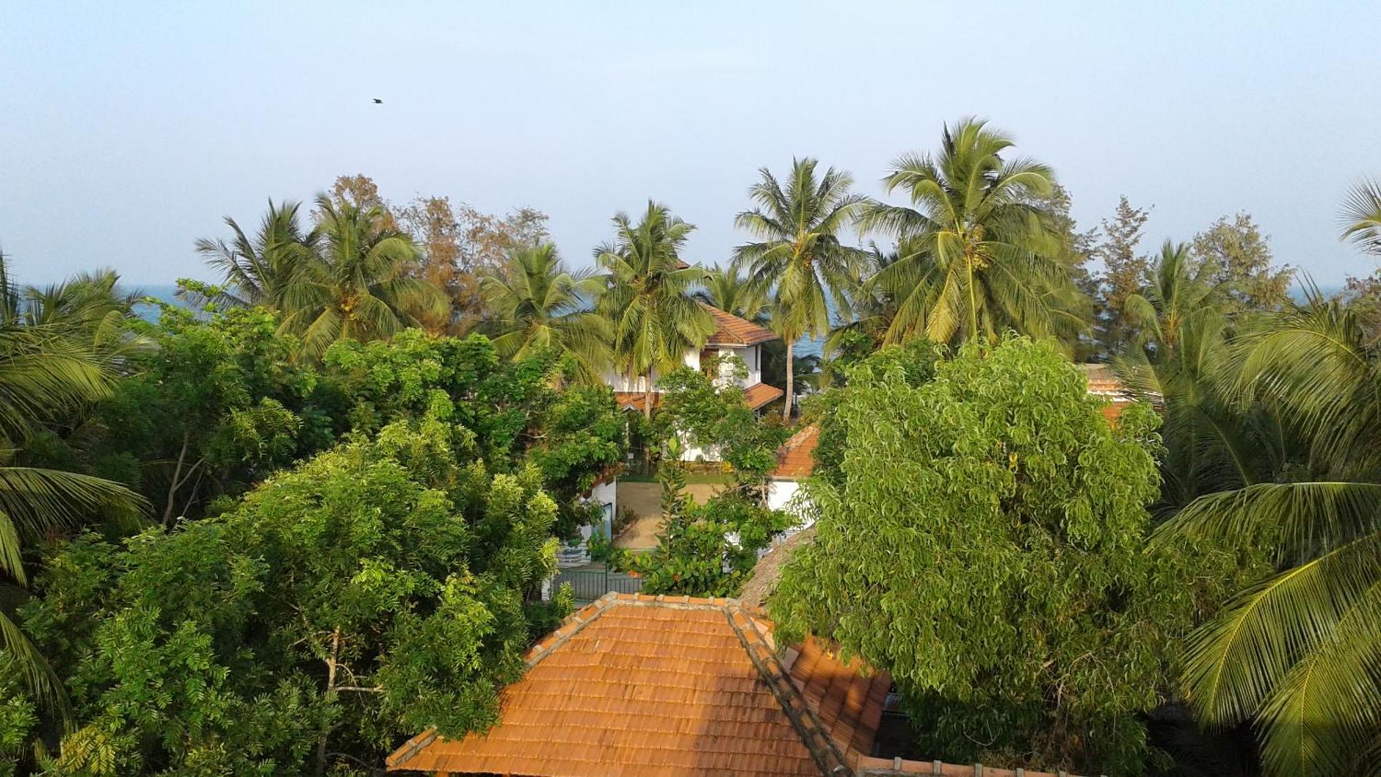 Garden Beach Hotel Arugam Bay Eksteriør billede